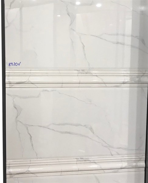 860 8920 VIEN – Gạch Nhập Khẩu Trung Quốc · 8x60