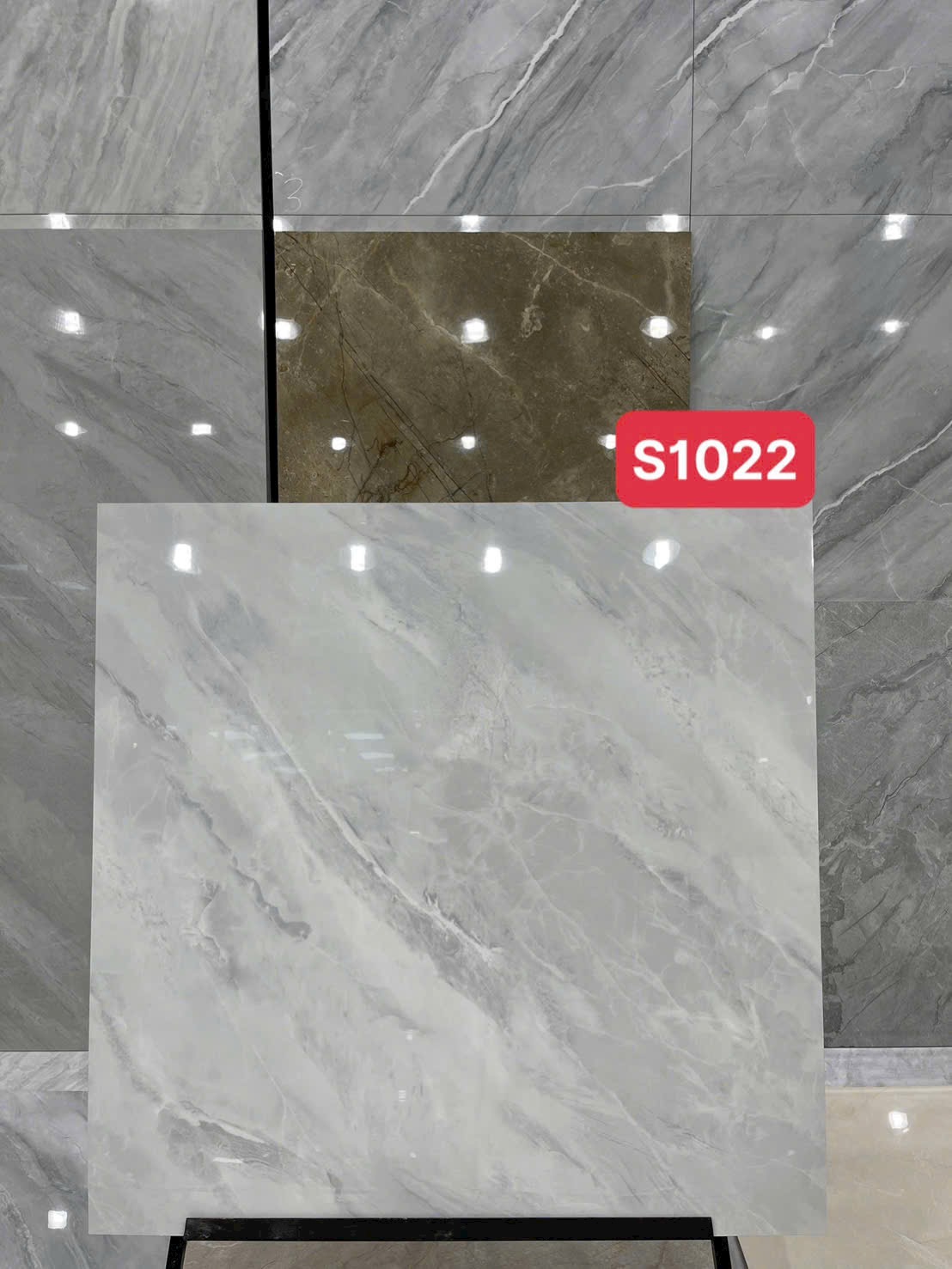 100100 S1022 – Gạch Nhập Khẩu Trung Quốc · 100x100